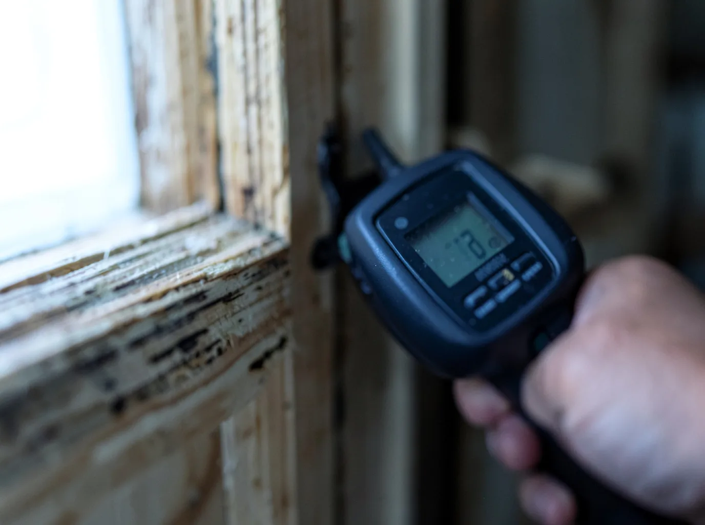 Commercial Water Damage Restoration in Arbovale, WV